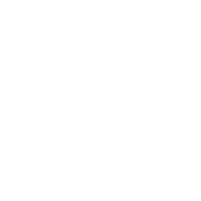 Zuidas Summer Fest
